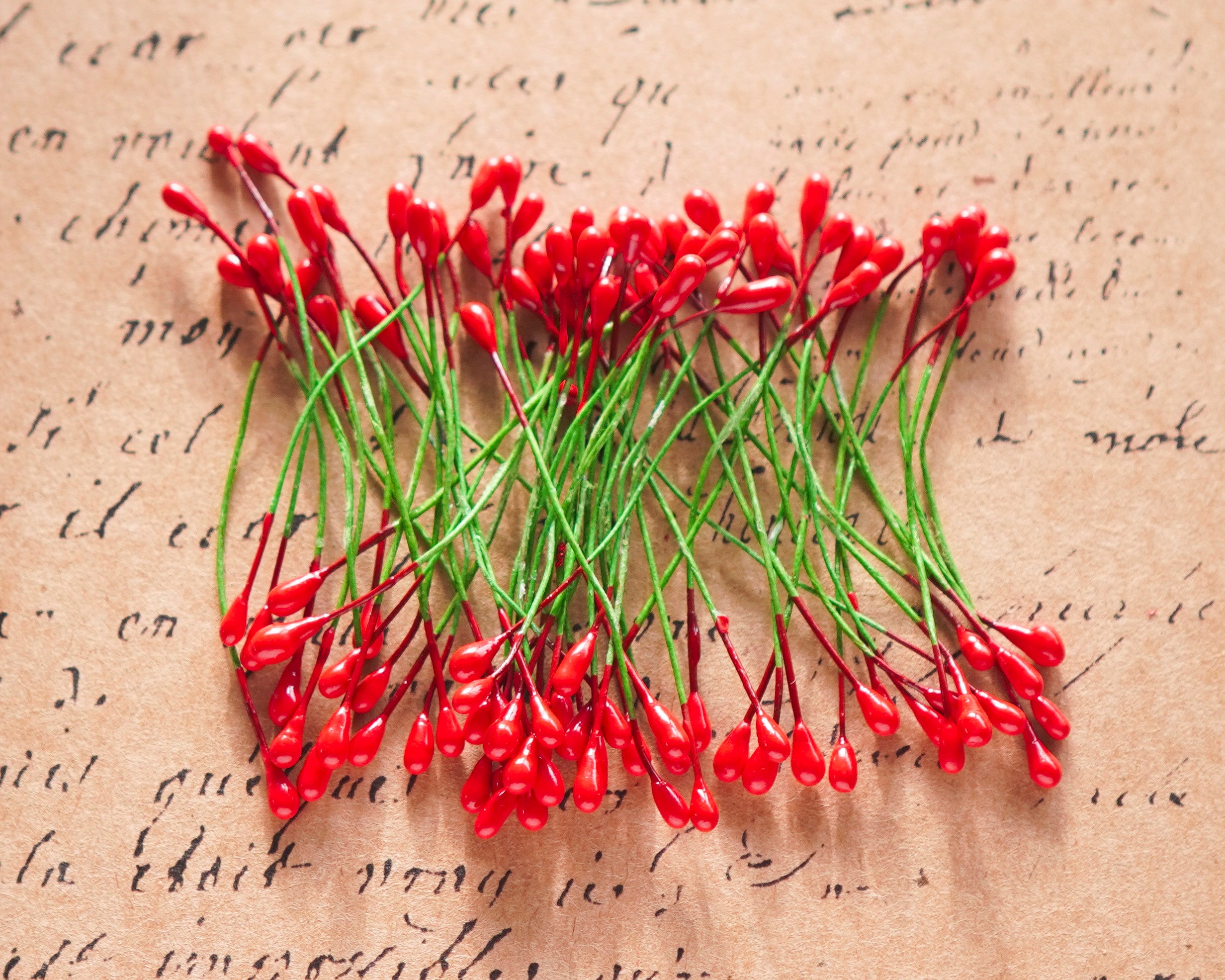 Mini Holly Berry Stamens, 50 Pcs.