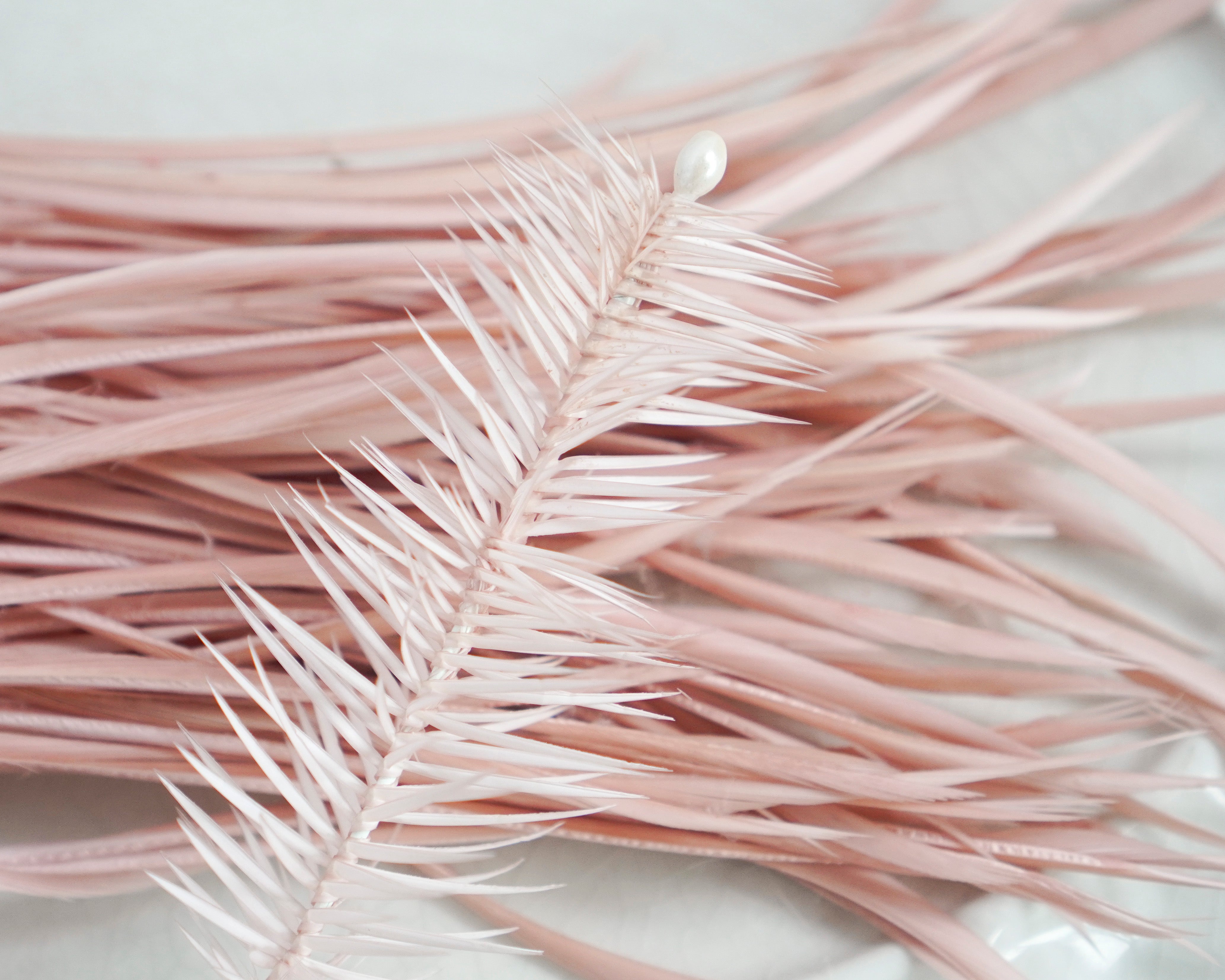 Goose Biots - Soft Pink Dyed Goose Feathers, 75 Pcs.