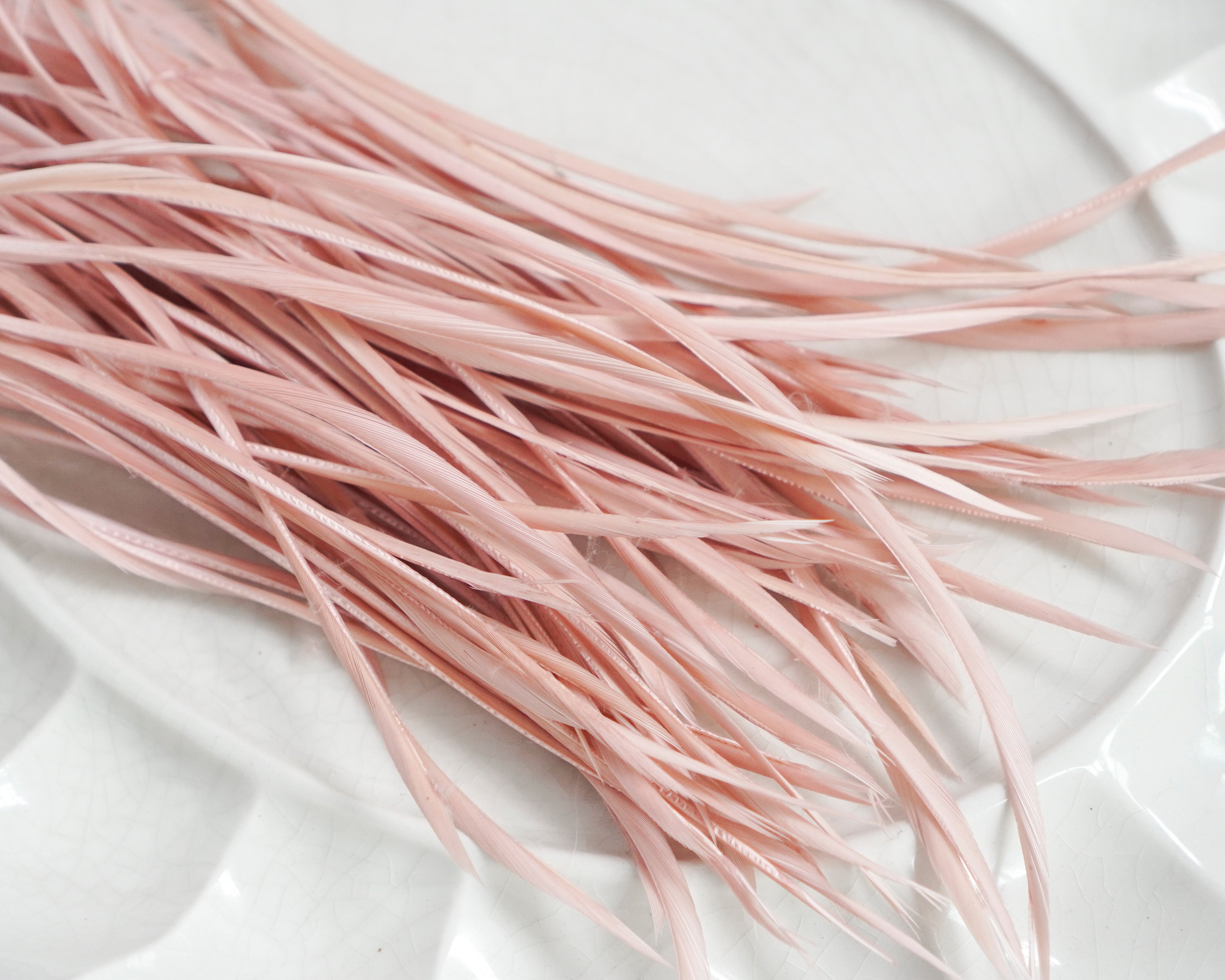 Goose Biots - Soft Pink Dyed Goose Feathers, 75 Pcs.