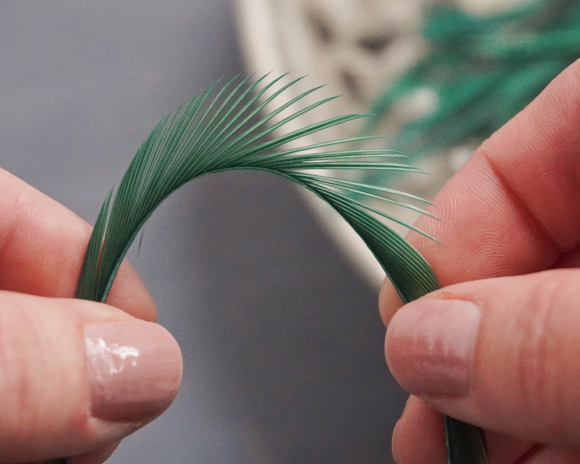 Goose Biots - Spruce Green Dyed Goose Feathers, 75 Pcs.