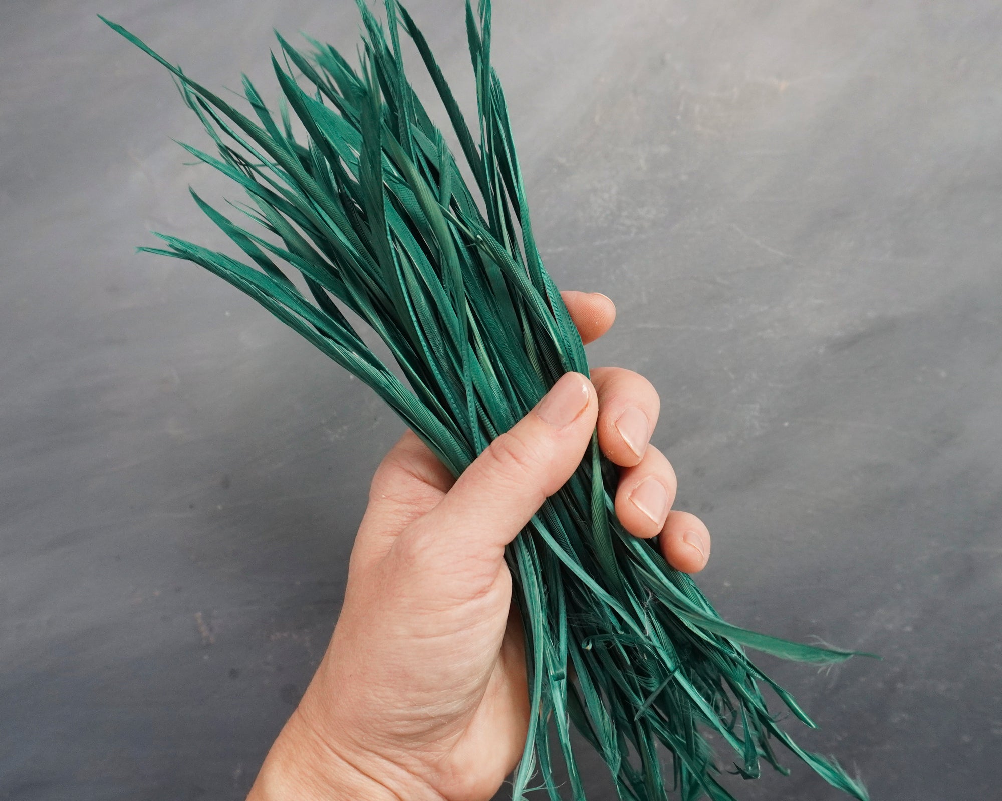 Goose Biots - Spruce Green Dyed Goose Feathers, 75 Pcs.