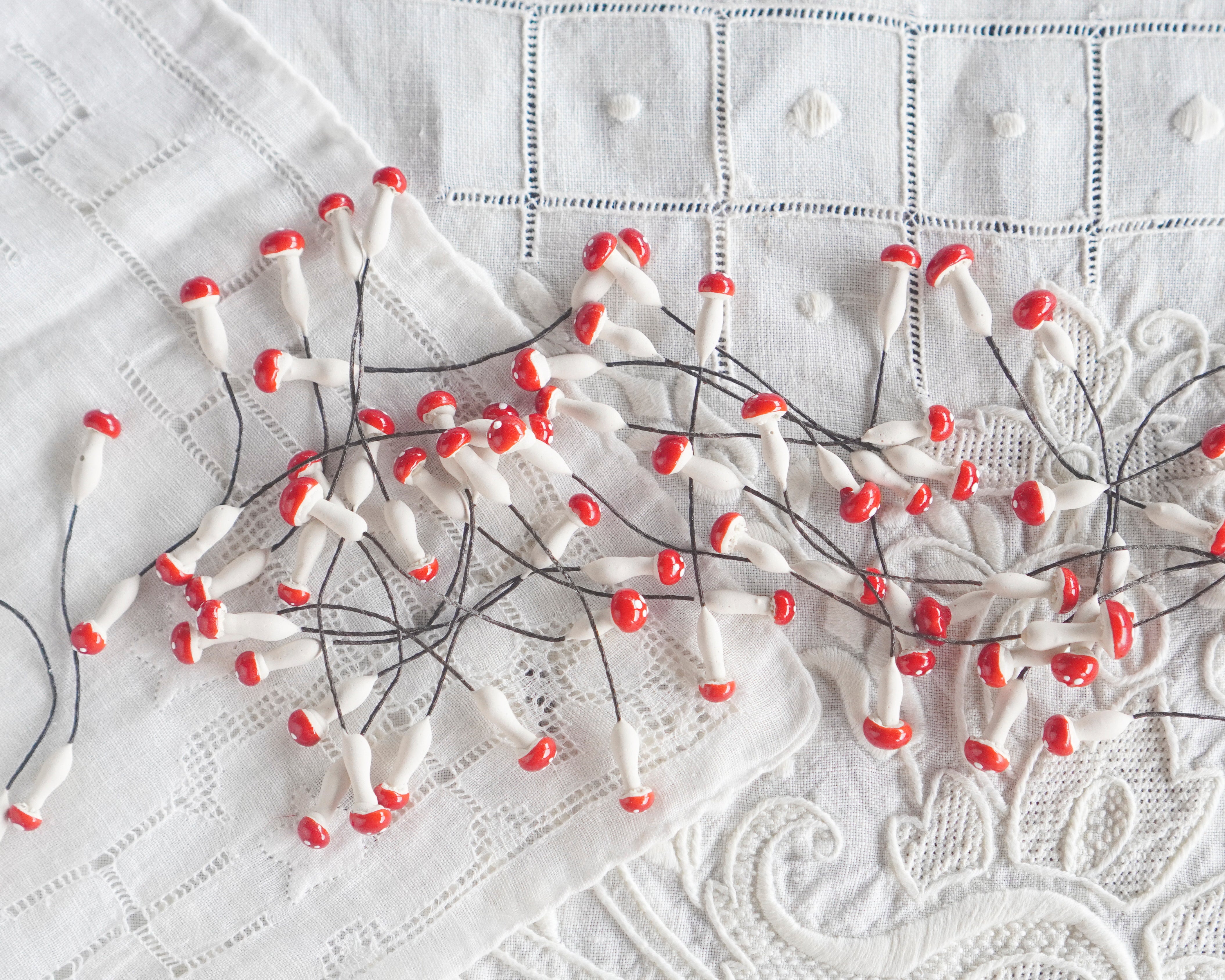 Tiny Mushrooms Embroidery Kit